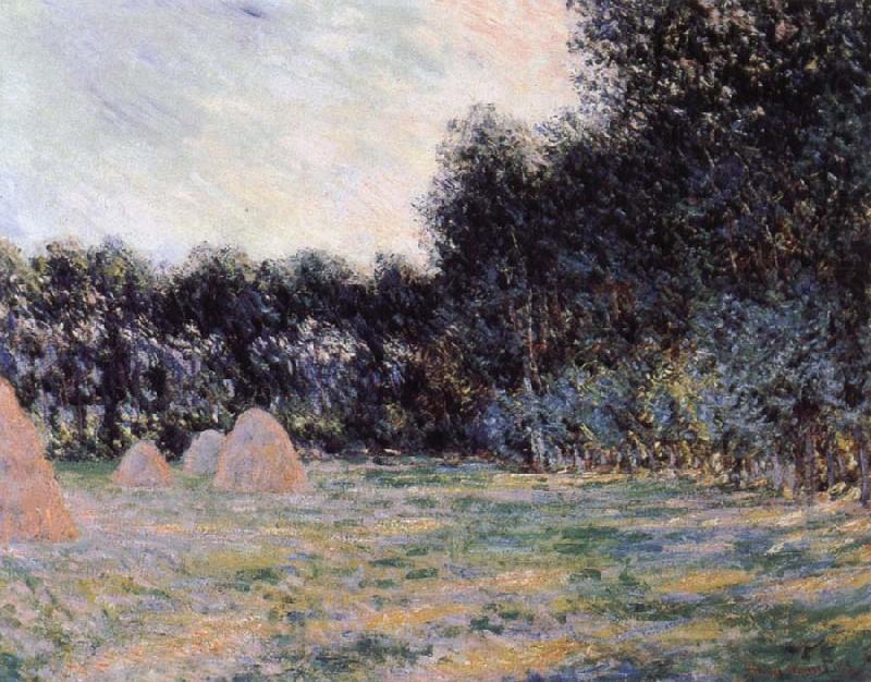 Claude Monet Field with Haystacks at Giverny china oil painting image